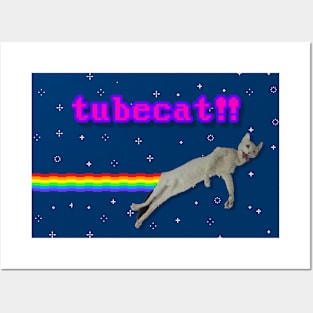 Tubecat Posters and Art